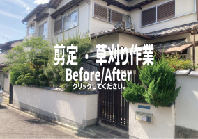剪定・草刈り作業