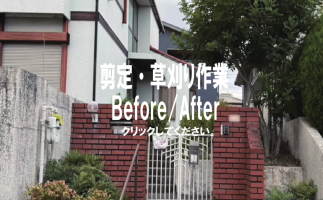 剪定・草刈作業