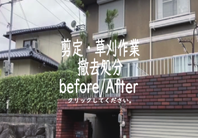 お庭の剪定
