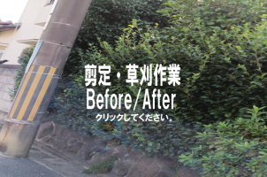 剪定・草刈作業