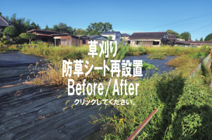 草刈り・防草シート修繕工事