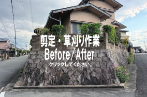 剪定・草刈作業